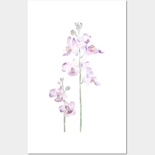 purple orchid watercolor Posters and Art